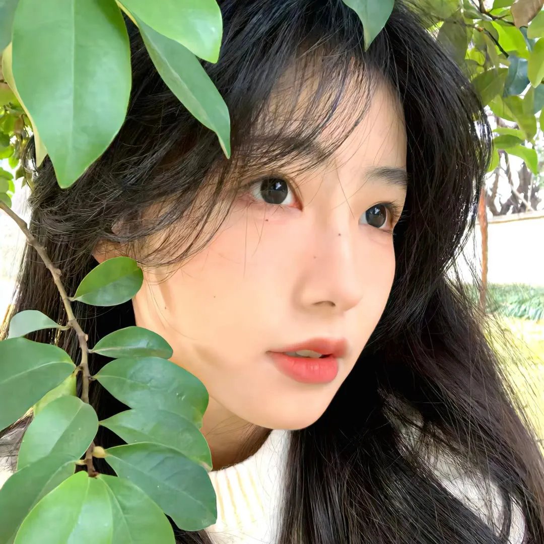 彩虹庇护所